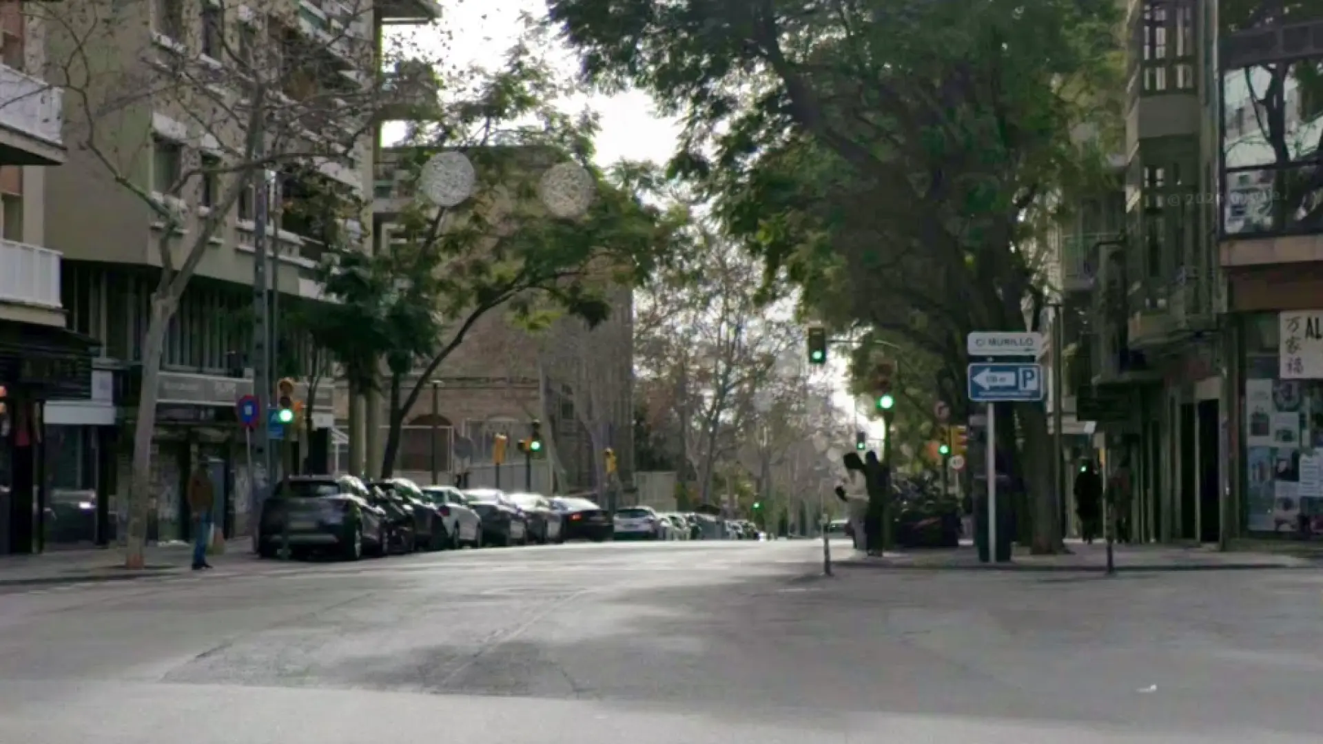 Detenido un joven por intentar robar un bolso de 480 euros y agredir a las personas que le retuvieron