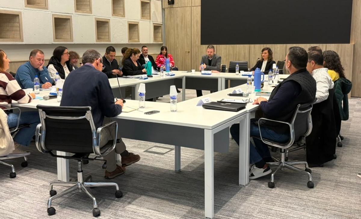 Se reunió nuevamente la Comisión para la licitación del área El Medanito