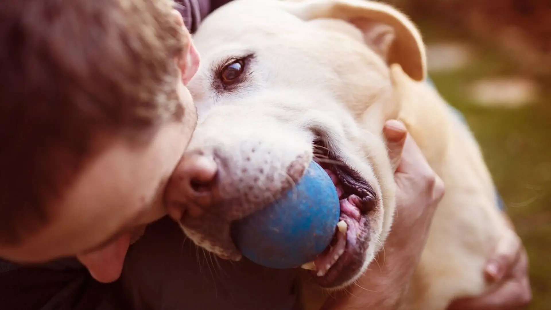 Los perros ya convivían con humanos hace más de 14.000 años, según nueva evidencia genética