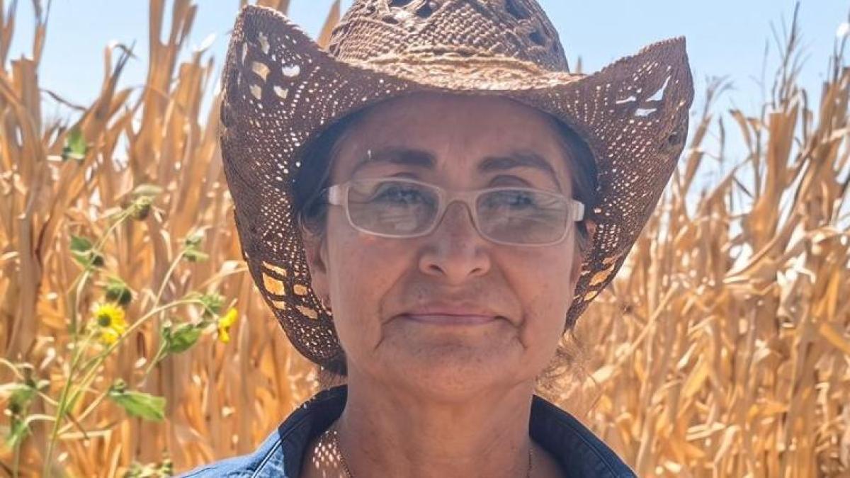 Productoras agrícolas de Sinaloa respaldan construcción de planta de fertilizantes en Topolobampo