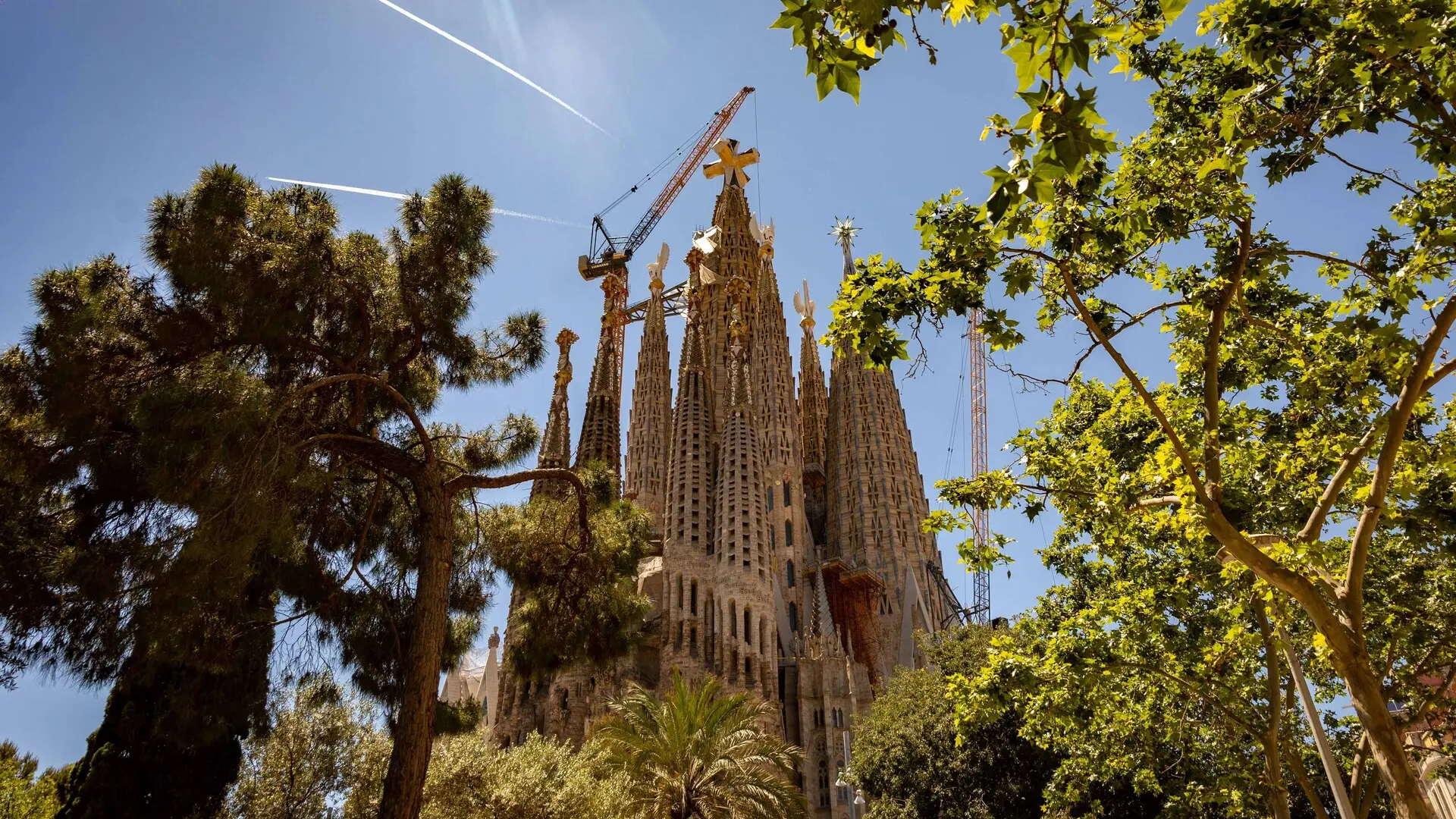 Acaba la reurbanización de la calle Marina, en la Sagrada Familia, a poco más de una semana de la visita del Papa a Barcelona