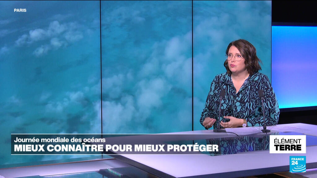 Journée mondiale des océans: un pilier du climat à protéger