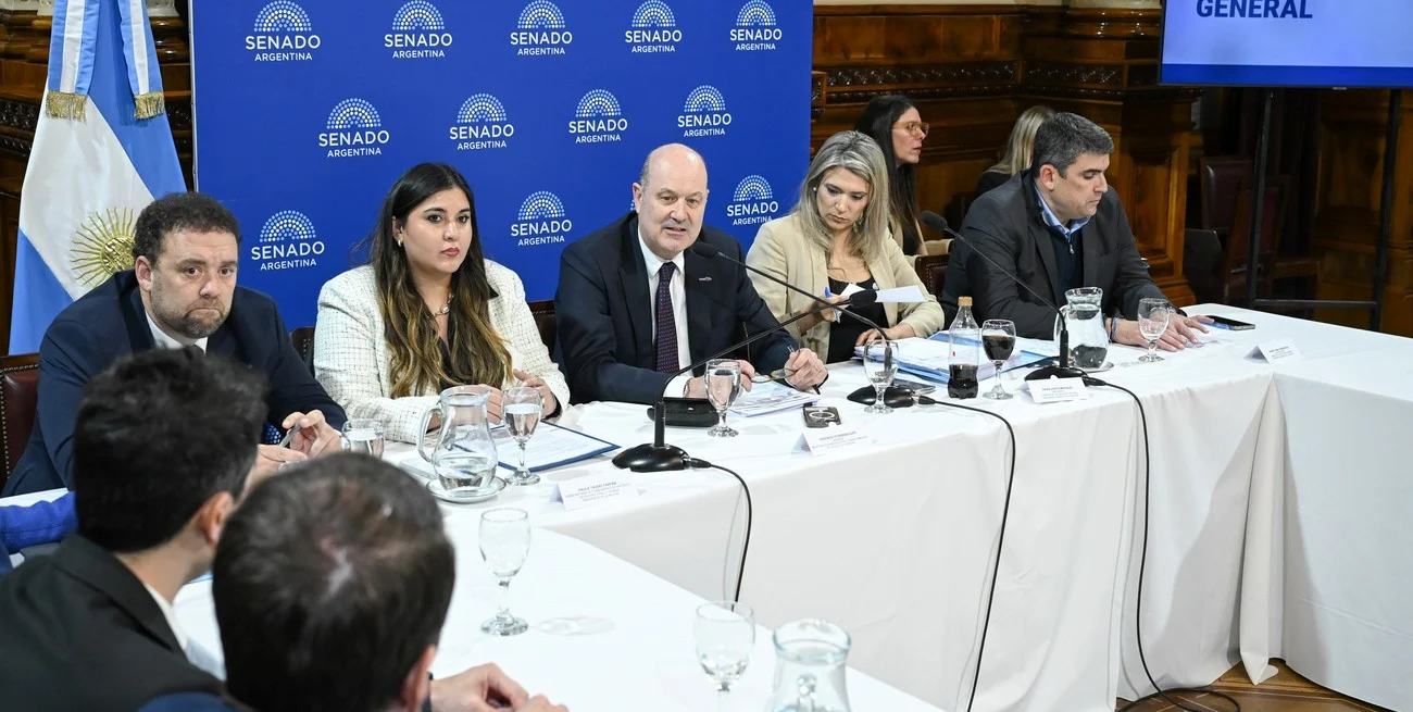 Sturzenegger defendió la reforma que abre la puerta a empresas con IA y sin humanos