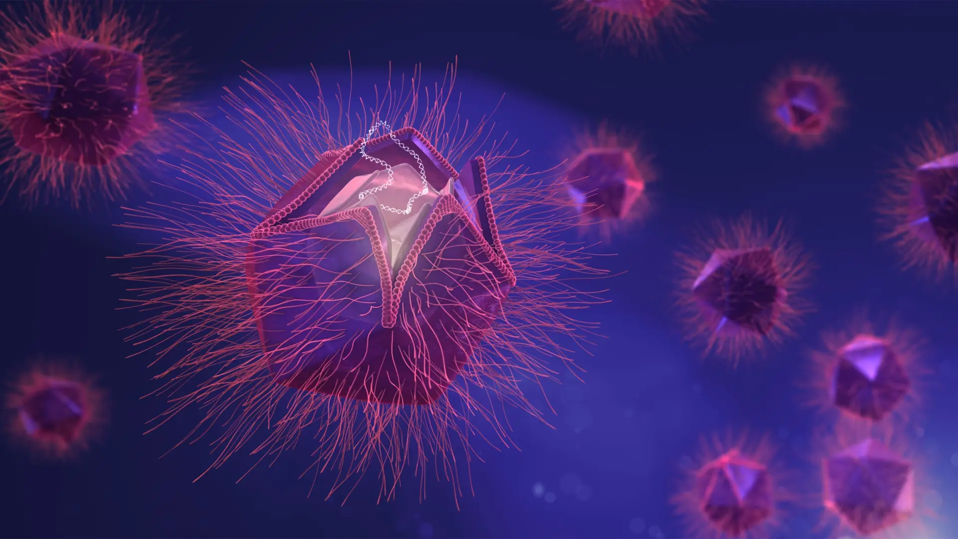 Descubren un nuevo virus gigante que se replica de una forma nunca antes vista