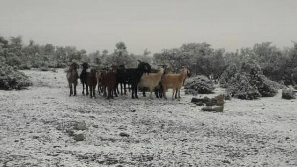 Un experto sanjuanino se la juega: ¿caerá o no nieve este miércoles en el Gran San Juan?
