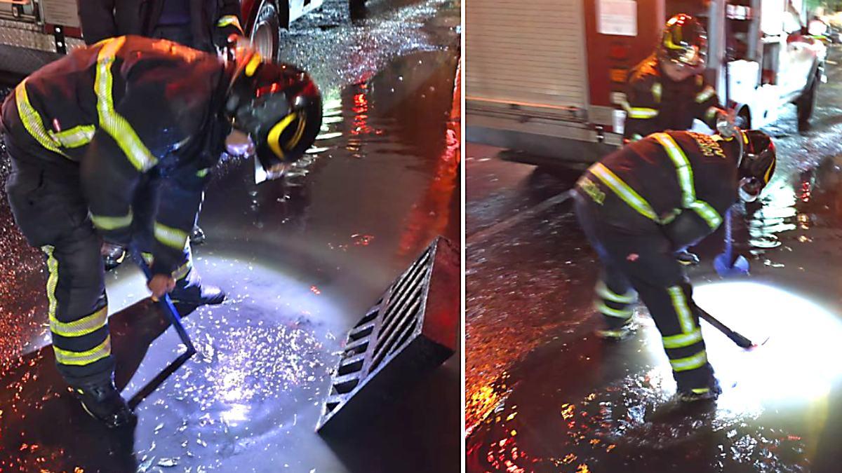 Caos por lluvias en la CDMX: inundaciones, árboles caídos y un lesionado