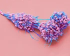 Life-prolonging drug for advanced ovarian cancer gets go-ahead in England