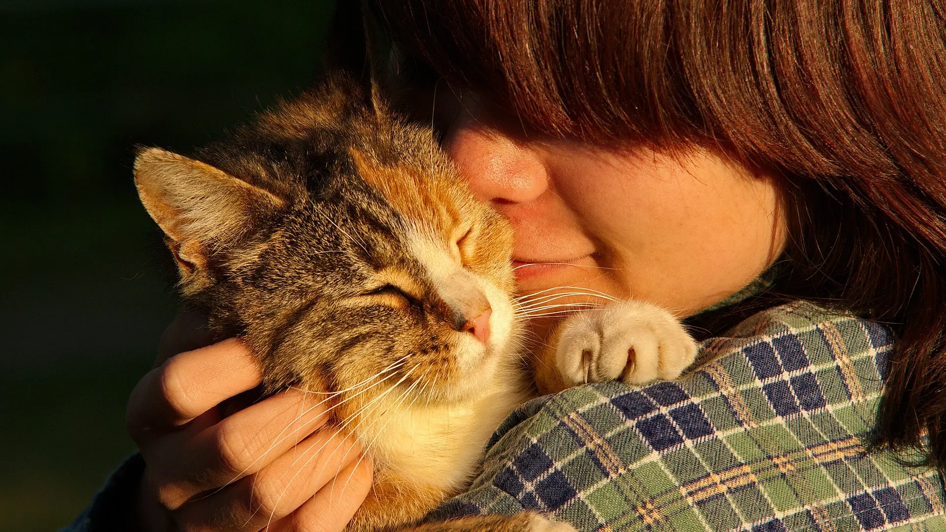 Convivir con gatos no empeora el asma infantil ni aumenta las crisis, según un estudio en 30.000 niños