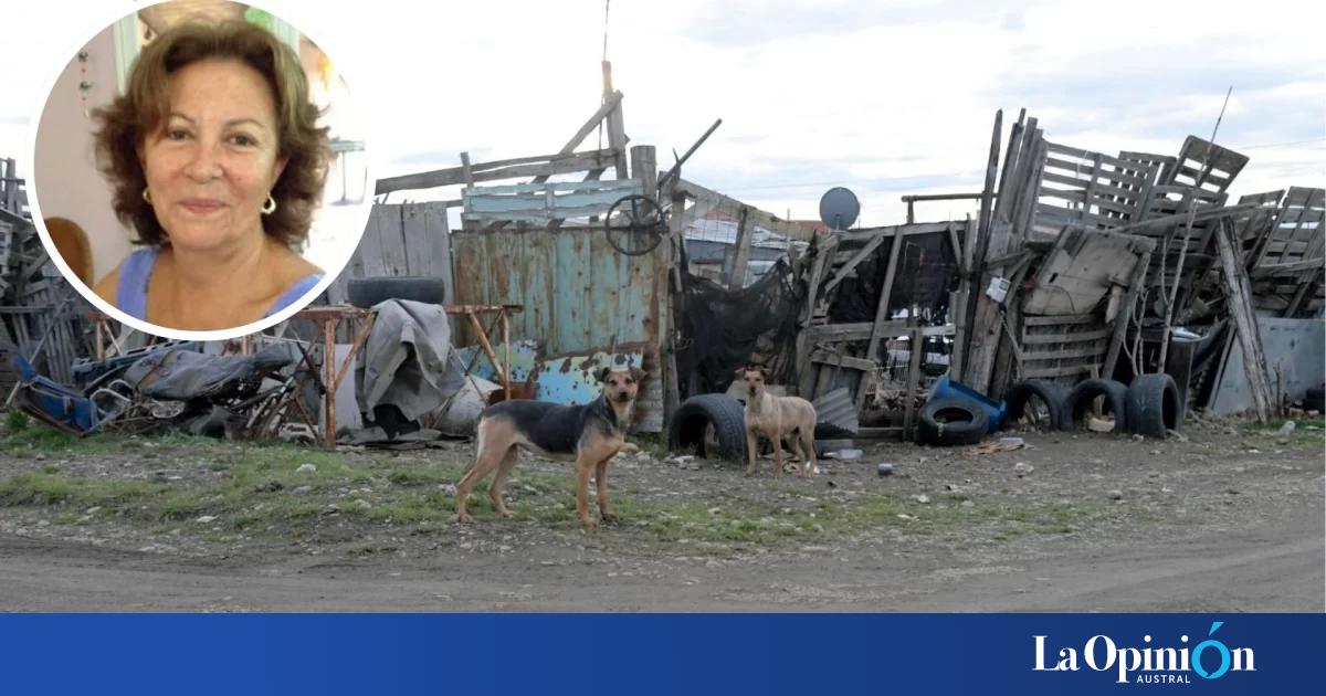 Jauría en Río Gallegos: "¿Qué van a esperar? ¿Que muera una persona?", el planteo de una especialista en derecho animal