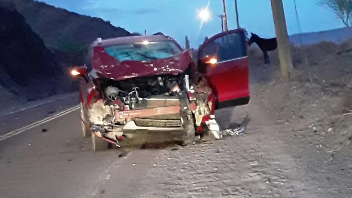 Calingasta: caballos sueltos causaron un accidente en la Ruta 149