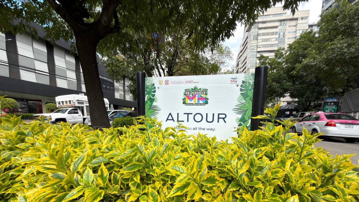 El alcalde de Miguel Hidalgo, Mauricio Tabe, encabeza reverdecimiento en la demarcación con ayuda de la IP