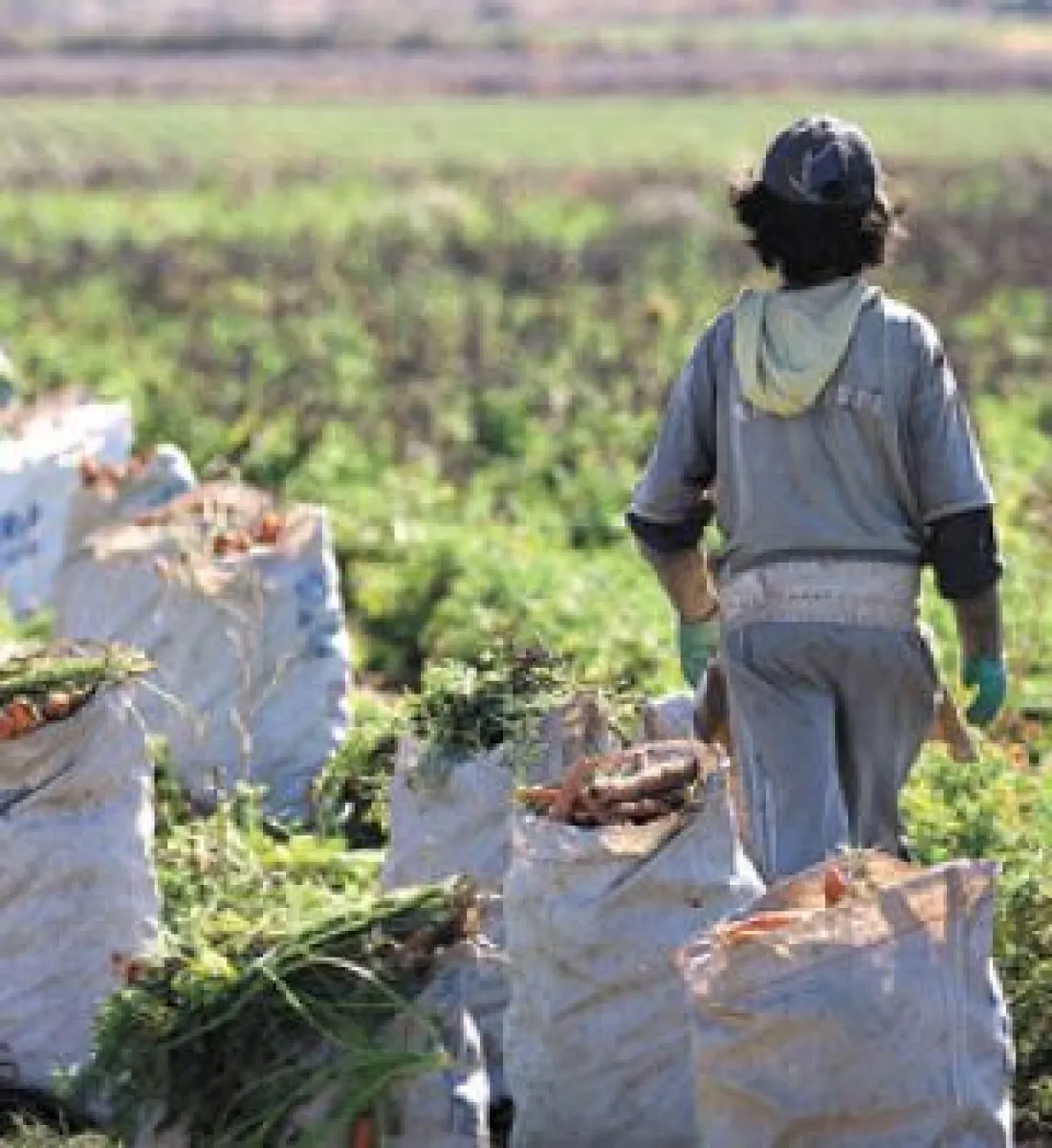 Misiones detectó tres casos de trabajo infantil en 2025 y advierte un aumento del empleo adolescente