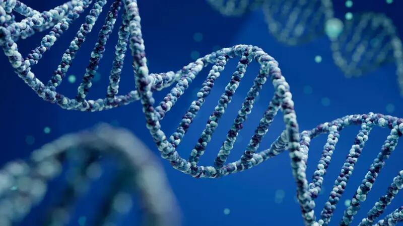 ¿Lo sagrado está en nuestros genes?
