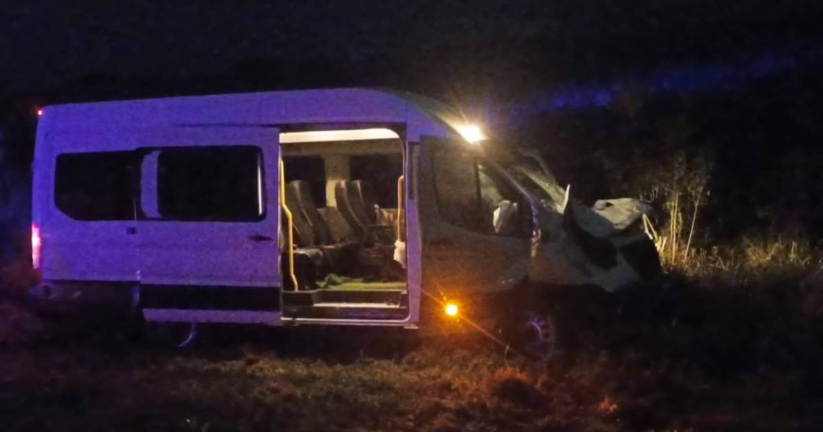 Corrientes: una combi de pasajeros chocó contra un caballo en la Ruta 12