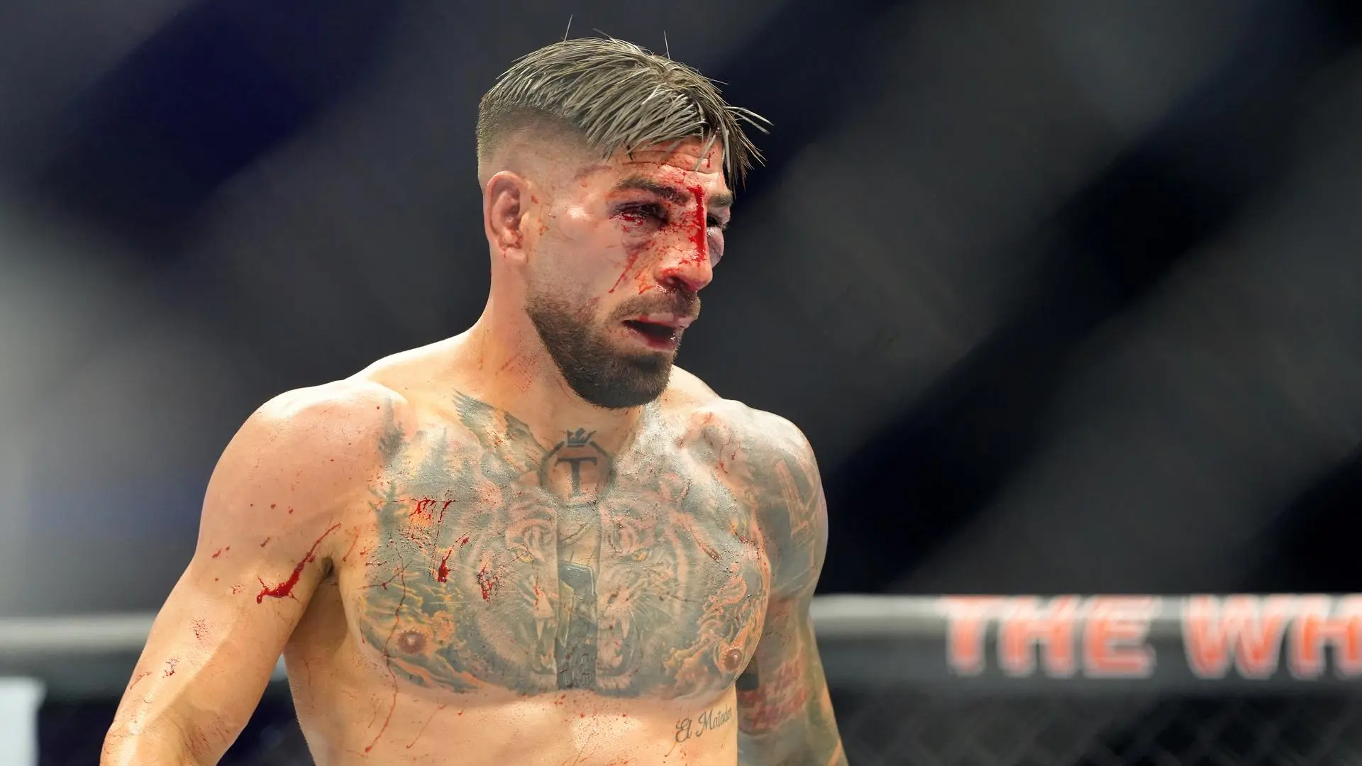 Vuelco al futuro de Topuria: Makhachev está ahora descartado, la revancha con Gaethje es complicada...