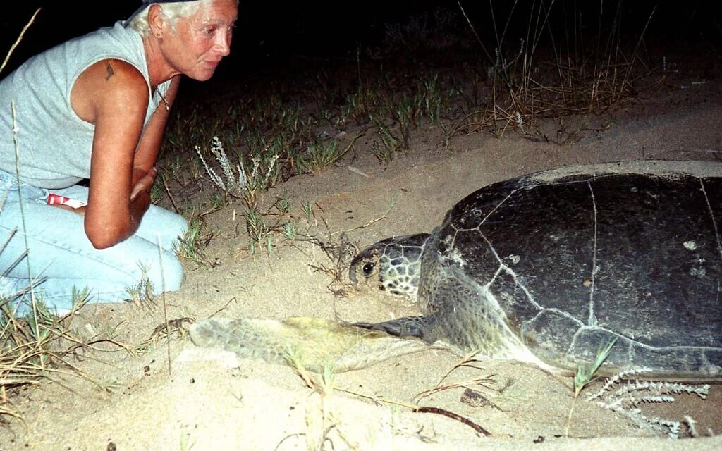 Renowned Lebanese turtle conservationist succumbs to wounds sustained in Israeli strike