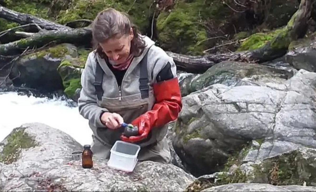 El impacto oculto del fuego en los ríos de la Patagonia