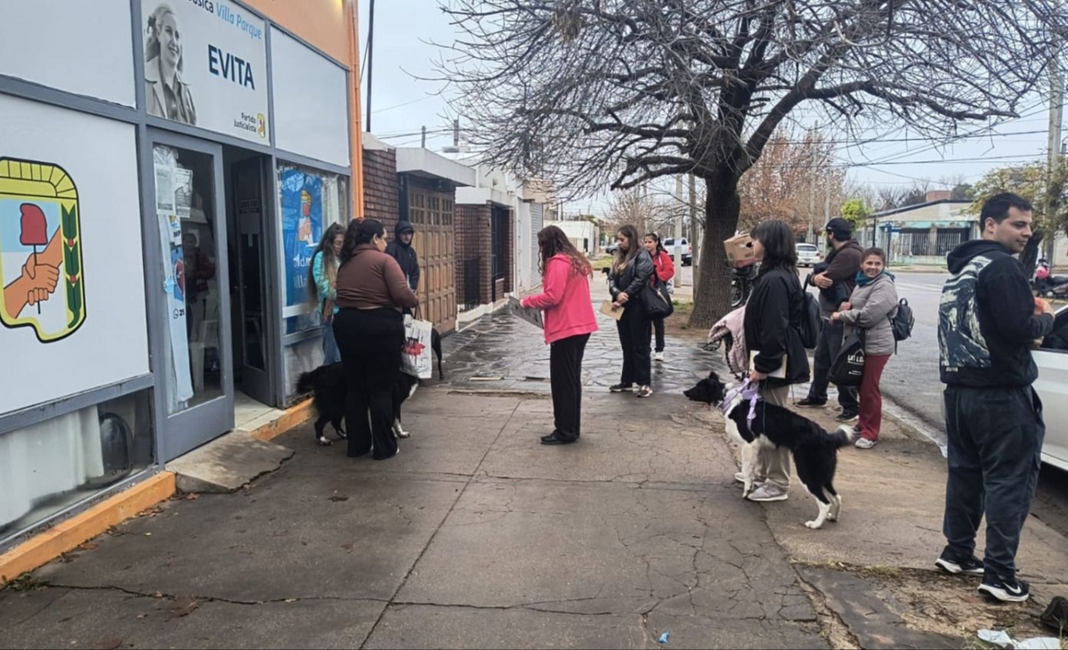 Nueva jornada de castración solidaria en Villa Parque