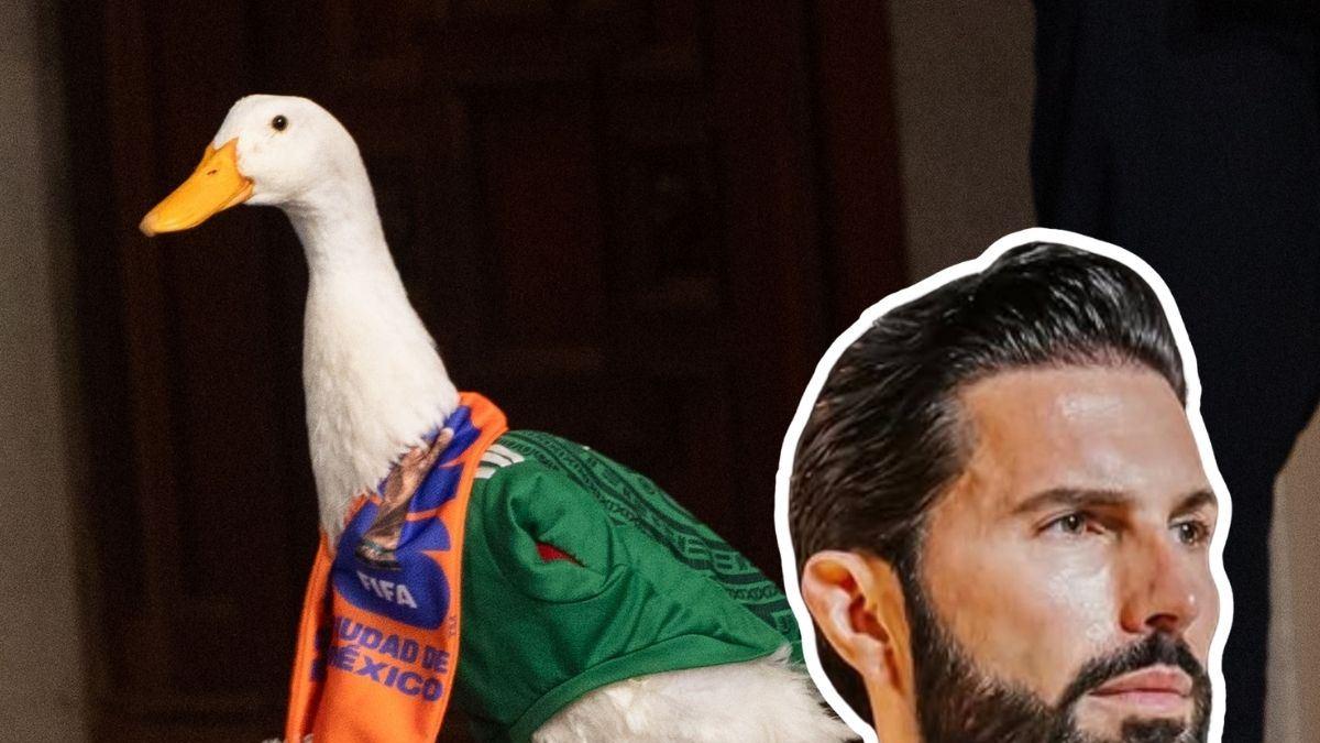 ¿Se vende? Poncho de Nigris ofrece más de 500 mil pesos por el Pato Merlín