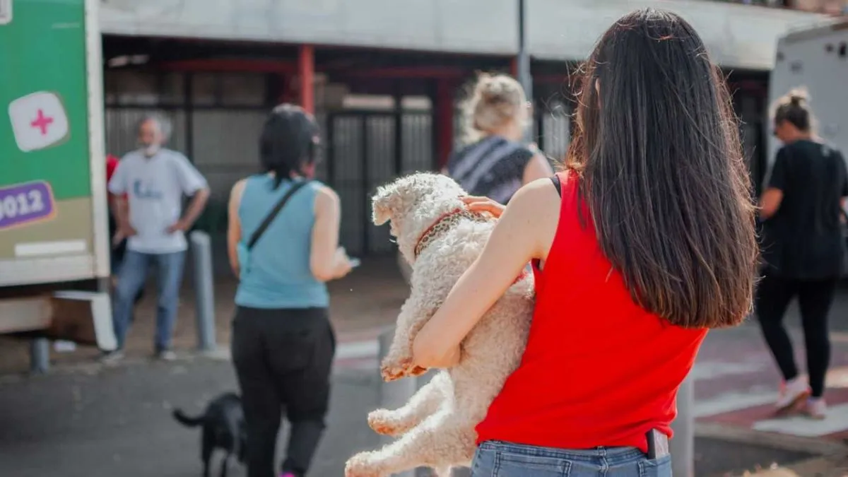 Imusa: aumentaron los ingresos de animales y promueven la adopción responsable