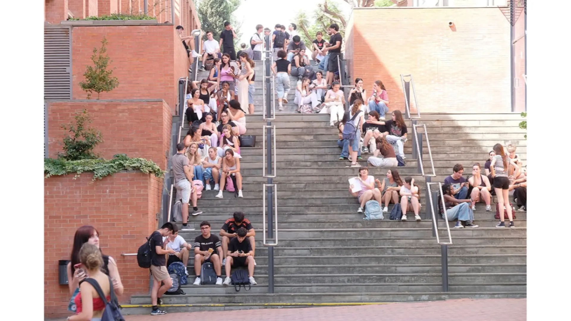 Exploradores a examen