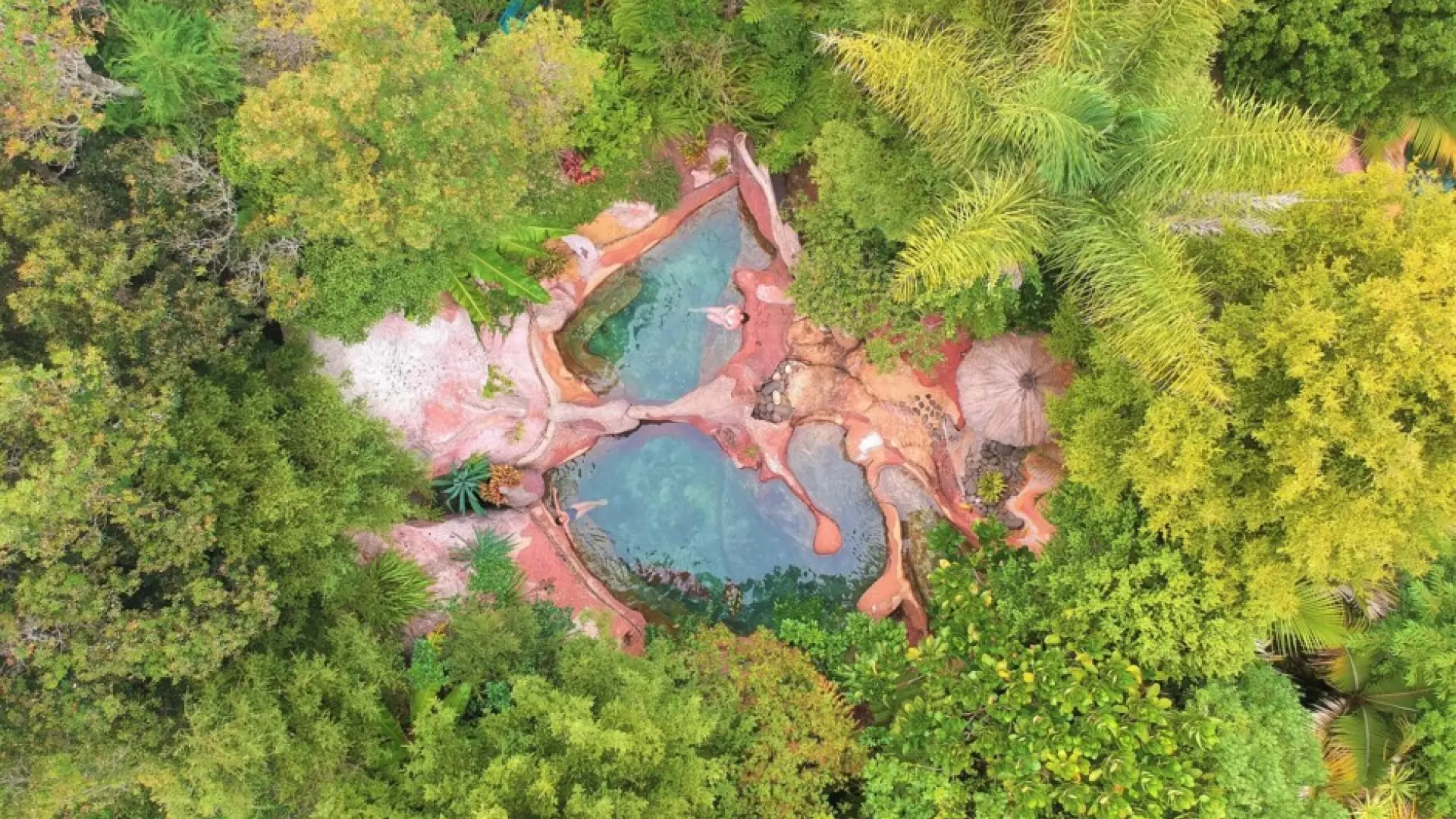 El balneario más bonito está en Nueva Zelanda en medio de la selva y es un lugar de cuento de hadas