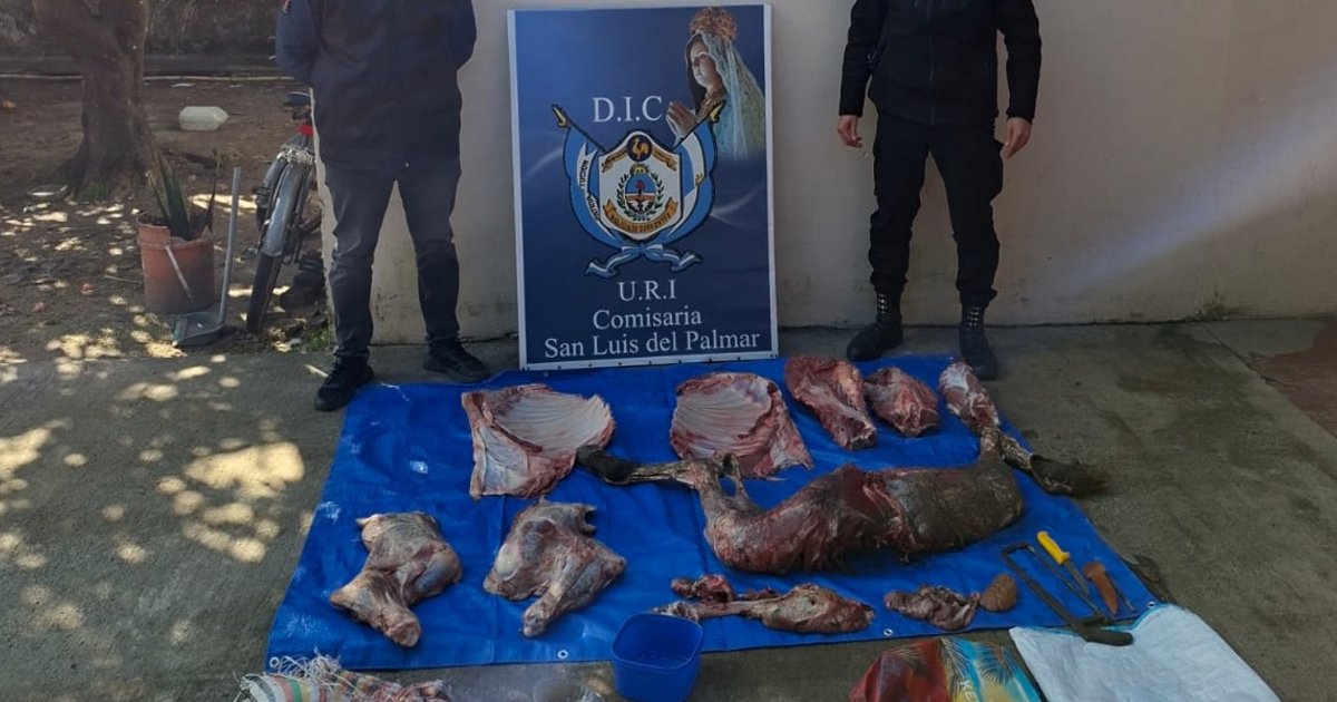Vendían carne ilegal en comercios de San Luis del Palmar