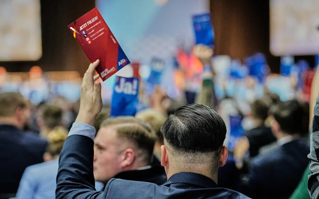 German intelligence says almost half of AfD party members potential far-right extremists