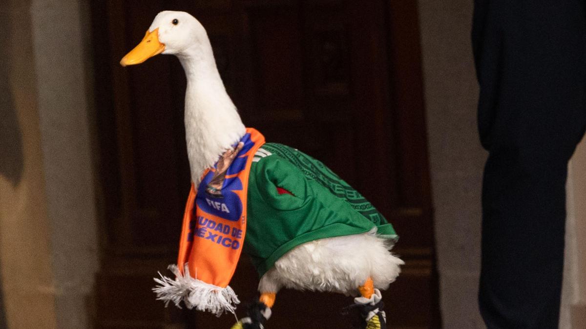Pato Merlín llega al Estadio Ciudad de México para el México vs Chequia