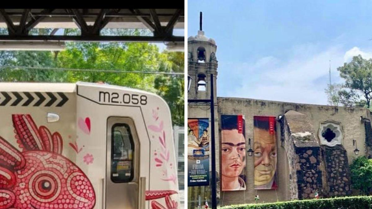 Museo Dolores Olmedo: guía definitiva para llegar en transporte público
