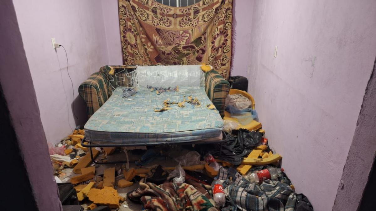Petición de ayuda para lomito maltratado se convierte en rescate de niña