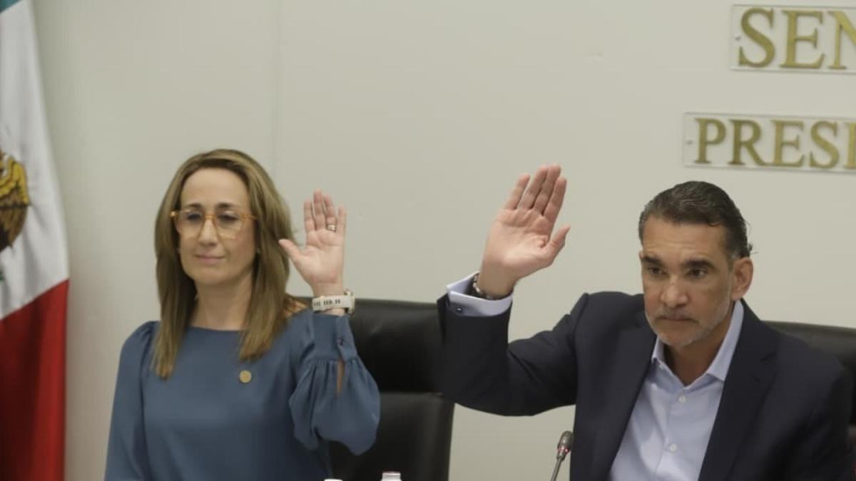 Partido Verde llama a fortalecer la tenencia responsable para combatir el abandono animal