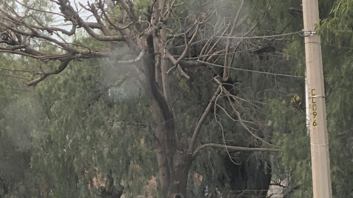 Caos urbano en Cuautitlán Izcalli