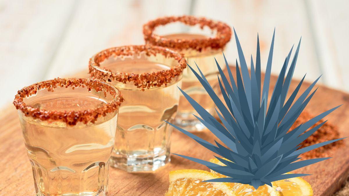 ¡Para todo mal, mezcal! Mundo Mezcal tendrá los mejores destilados de agave