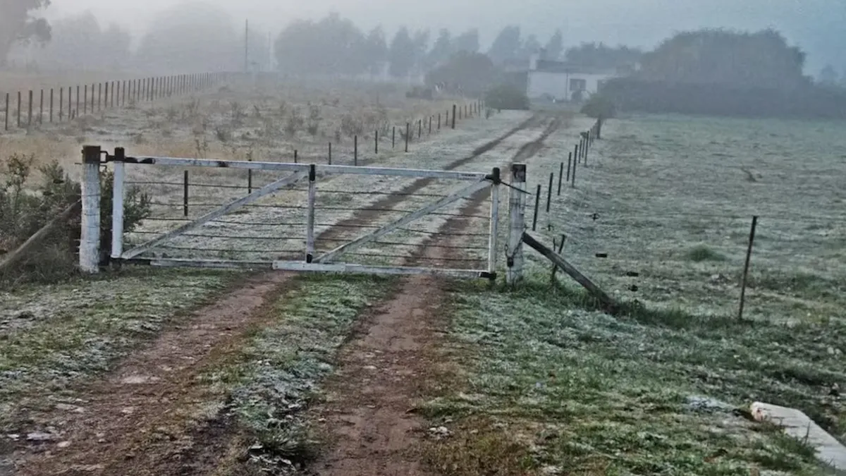 Jáchal, entre las ciudades más frías del país: registró casi 5 grados bajo cero