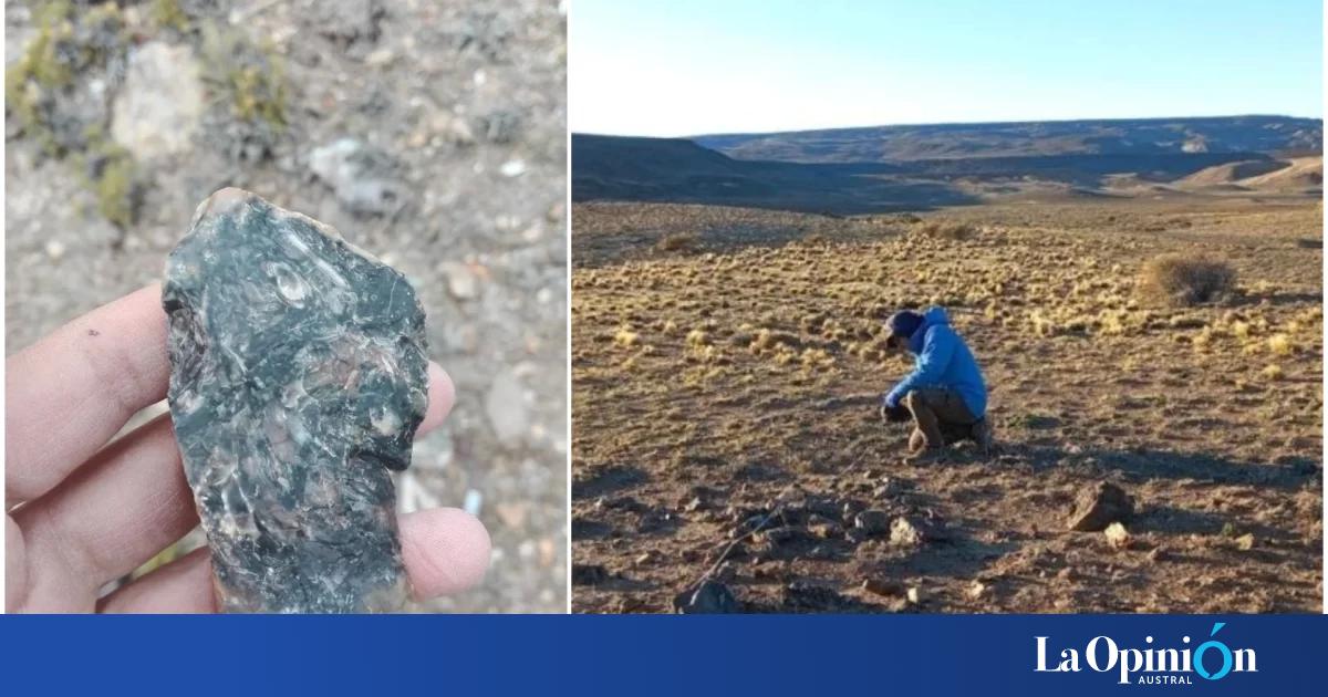 Hallazgo en Santa Cruz: descubrieron una planta de 150 millones de años en rocas jurásicas