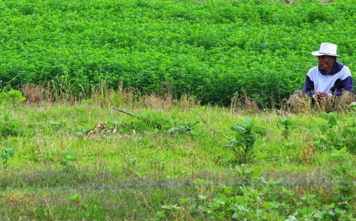Agricultores de Sinaloa respaldan planta de amoniaco en Topolobampo
