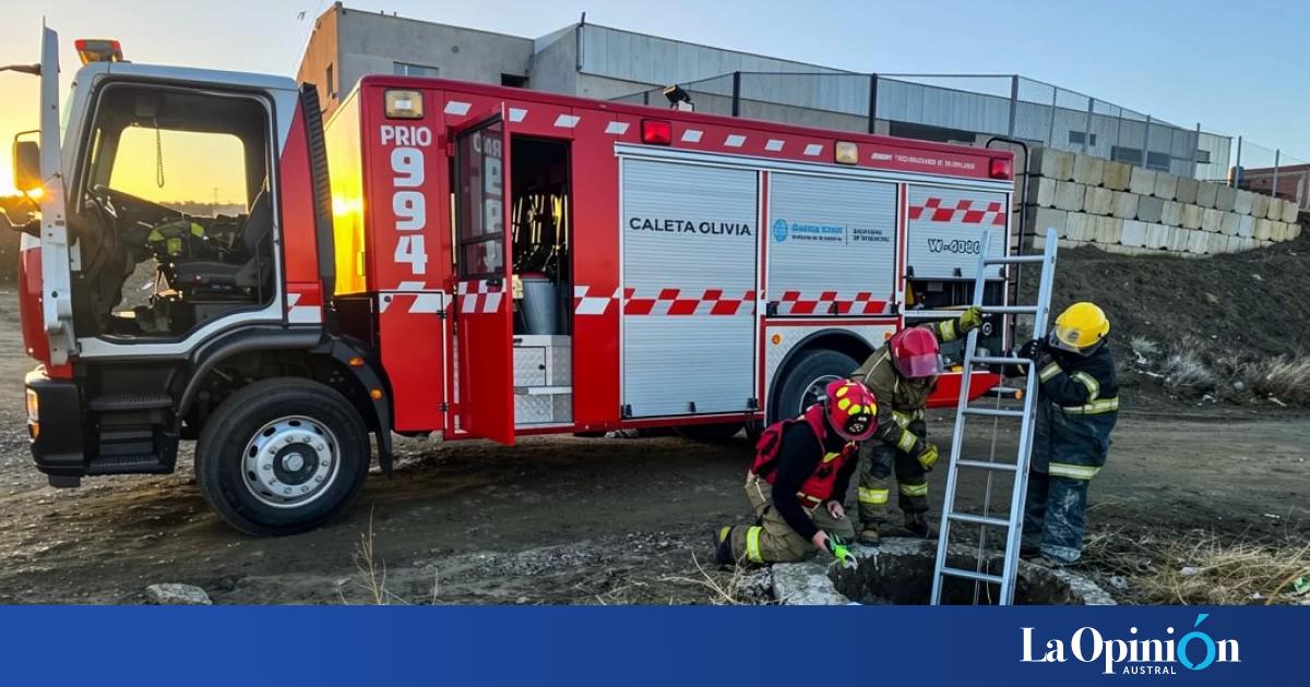 Caleta Olivia: bomberos rescataron a un perro que cayó en un pozo de tres metros