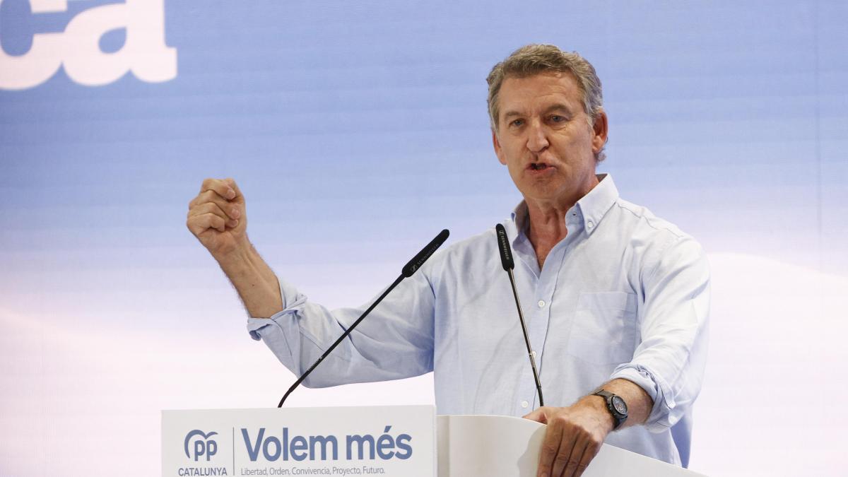 Feijóo acusa a Sánchez de "ingeniería electoral" con la Ley de Nietos: "Hay un interés evidente de conseguir nuevos votantes"