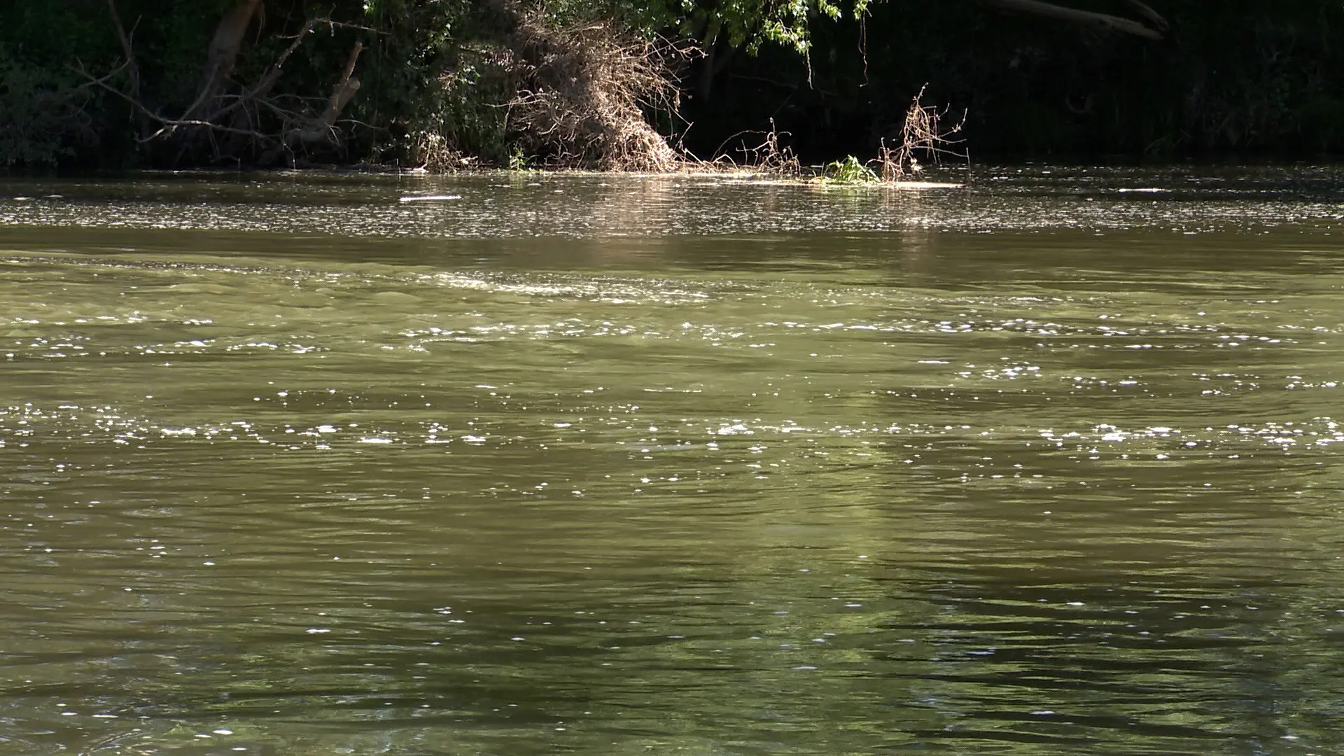 La presa de Palencia, una zona prohibida al baño y frecuentada por pescadores: "El río es muy peligroso"