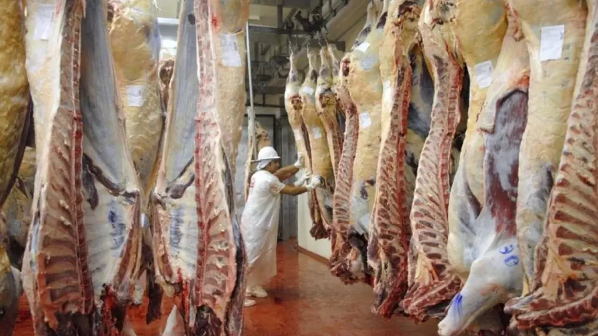 Creció un 369% la venta de carne argentina a los Estados Unidos
