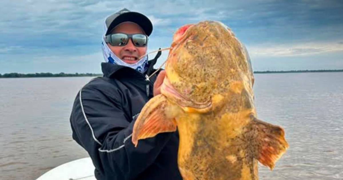 Pescaron un manguruyú de 20 kilos en Esquina y lo devolvieron al río Paraná