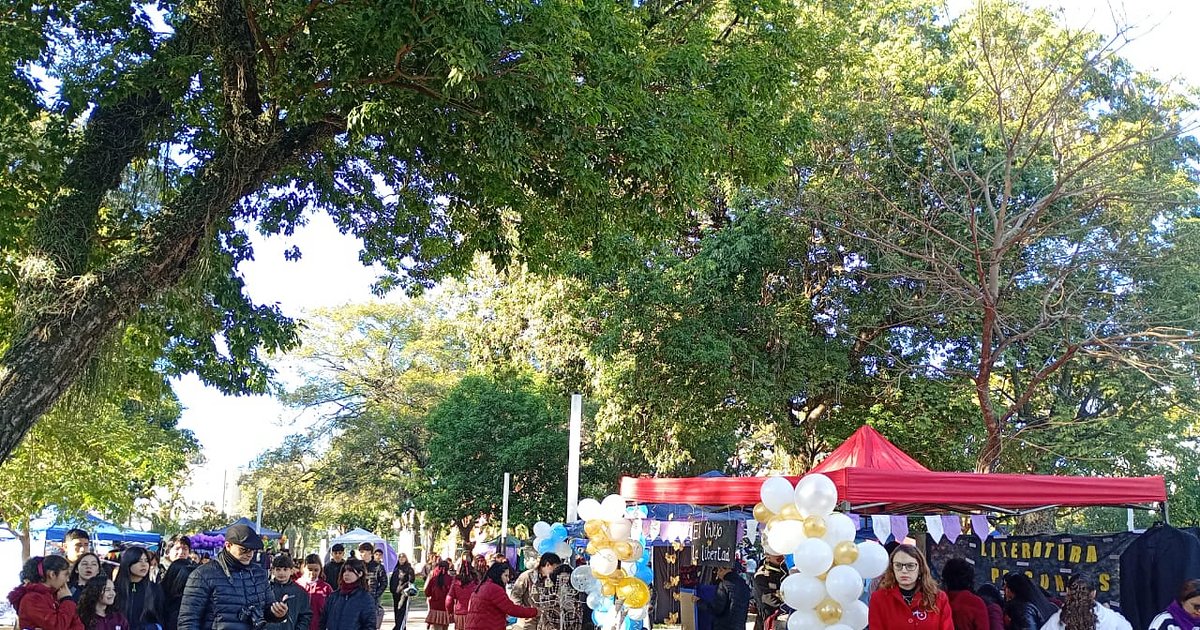 Libros, arte y talento estudiantil: así se vivió la Feria Literaria en plaza La Cruz
