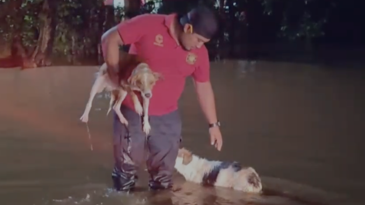 Fuertes lluvias inundan Campeche; el agua subió un metro en 20 minutos