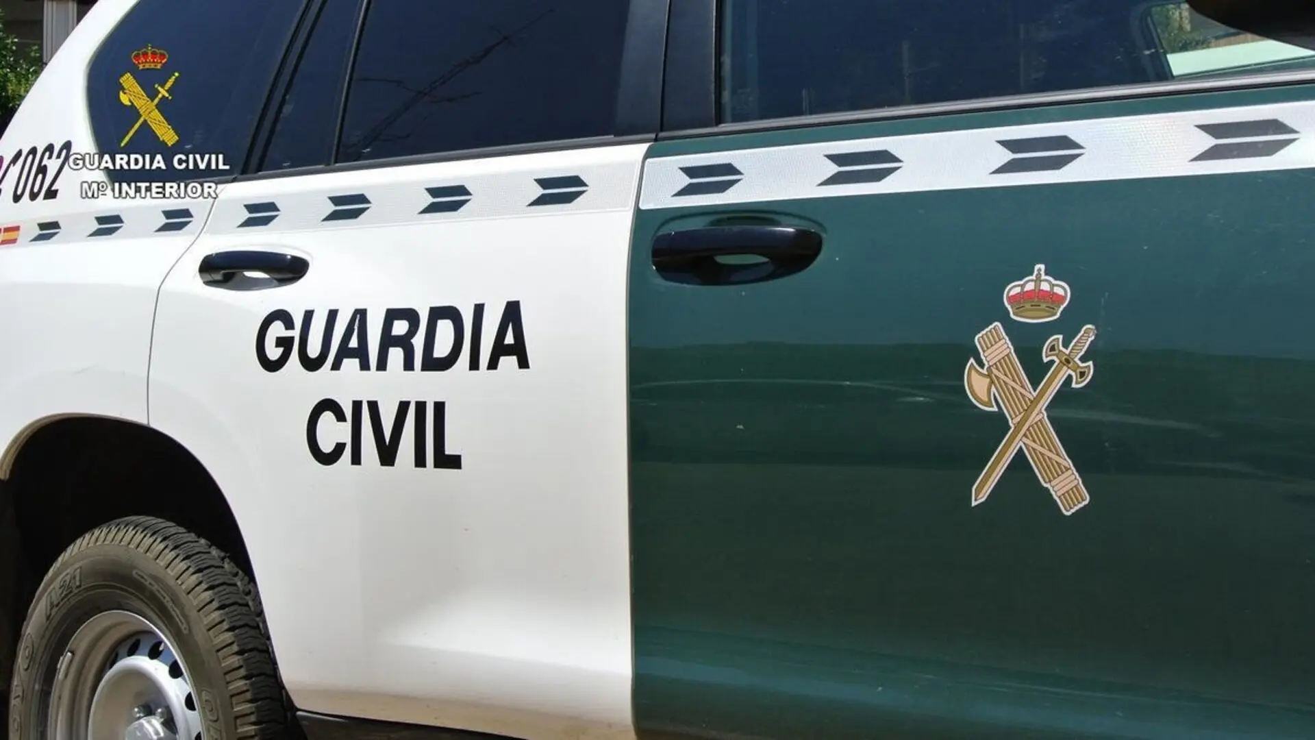 Detienen a un hombre en Bétera por un robo masivo de animales: 44 cachorros de distintas razas y 88 palomos de competición