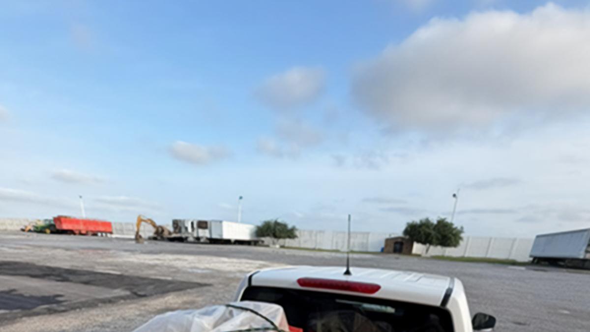 Envueltas como juguetes, descubren 350 tortugas de agua dulce en Tamaulipas