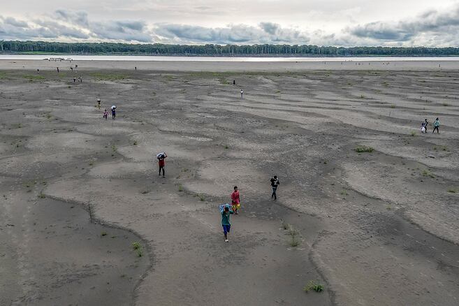 Países amazónicos impulsan alianza para cuidar la Amazonia ante fenómeno de El Niño