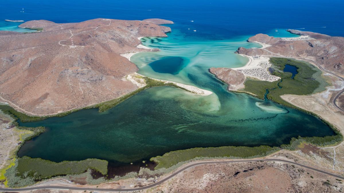Vacaciones de verano en La Paz, Baja California Sur: un viaje fantástico por el Golfo de California