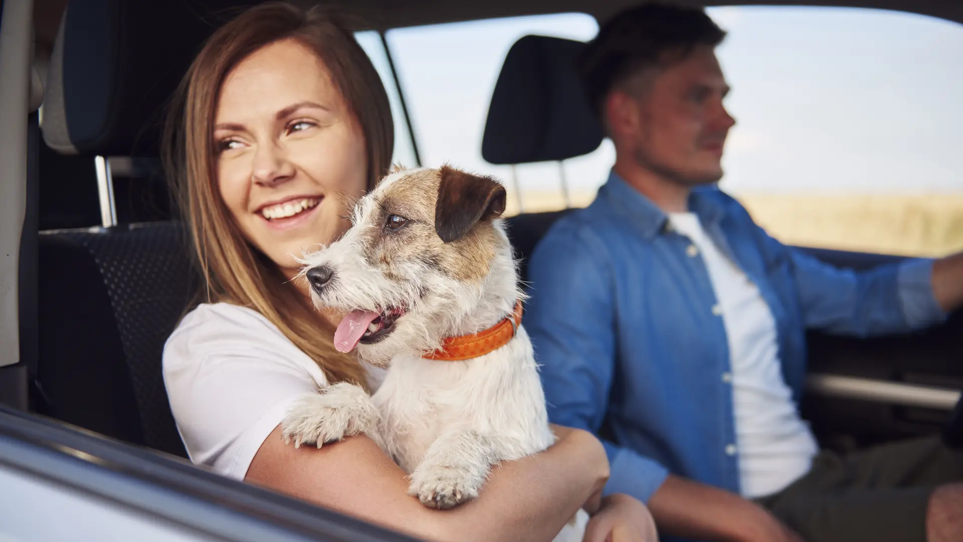 ¿Puede un perro viajar en el asiento delantero del coche? Lo que dice la normativa