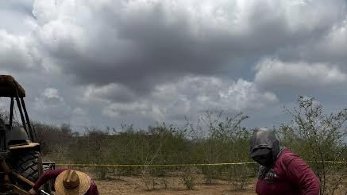 Hallan cinco nuevas fosas clandestinas en Concordia, Sinaloa